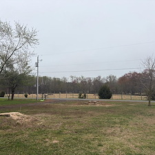 Large-Pine-and-Maple-Tree-Removal-Around-Power-Lines 8